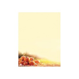 Great Papers! Glistening Pumpkins Letterhead, 8.5" x 11", 80 Count (2019087)