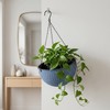 10 Inch Self-Watering Hanging Planter – Drainage
