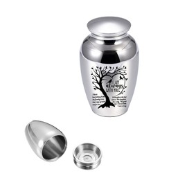 1pcs 6.5cm Small Urns Mini Cremation Human Ashes Holder Aluminum Alloy Memorial Keepsake Ash Funeral Urn for Pet Small Ashes Urns for dog pet(Silver)
