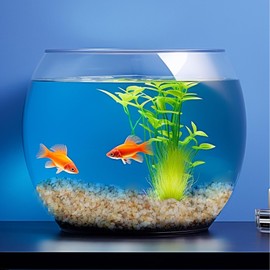 FLRAUTO Sand Stone 2LB Decorative Rocks Sand Stone,3-6mm Silica Sand, Mix Coarse Sand for Plants,Soil Cover Bonsai,Succulent,Terrarium