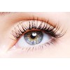 P-Beauty Cosmetic Accessories Eyelash Lifting Pads (5 Pairs) for Perm