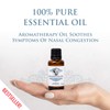 Optima Natura Eucalyptus Oil, 100% Natural Pure Essential Eucalyptus Oil,