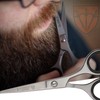 3 Swords Germany – Professional Beard Hair Scissors, Stainless Steel,