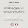 Hydrolate from Rose Bio Cosmetics - MyCosmetik 50 ml