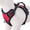 Easy Walk No Pull Dog Harness, Reflective, Sizes for Puppies