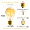 Sevici A19 Edison Light Bulb,E26 Incandescent Light Bulbs 60W Antique