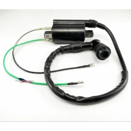 Unbranded 2x IGNITION COIL & Spark Plug FOR KAWASAKI Mule 3010 KAF620E 4x4 2007 2008