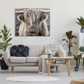 Stupell Industries Detailed Highlands Cattle Rural Farm Animal Photography Canvas Wall Art, Design by Danita Delimont