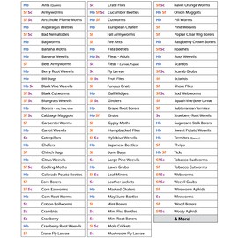 Live Beneficial Nematodes - 15 Million Hb+Sc+Sf - Kills Over 200 Different Species of Soil Dwelling and Wood Boring Insects.