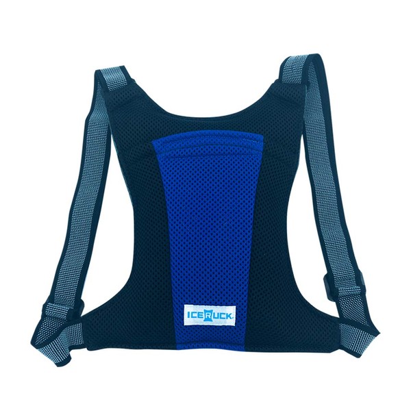 Denko Home Ice Ruck, Vertical Type, Includes 2 Ice Packs, Can Be Repeatedly Used, Measures Against Extreme Heats, One Size Fits Most, Height 7.9 x Width 6.1 inches (20 x 15.5 cm), Blue (004)