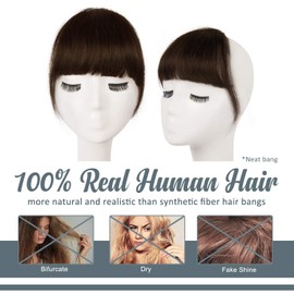 BARSDAR Clip-In Fringe Extension, 100% Remy Human Hair, Temple Bangs, One Piece Hairpiece, Extension for Women