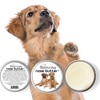 The Blissful Dog Mixed Breed Nose Butter, Versatile Dog Nose