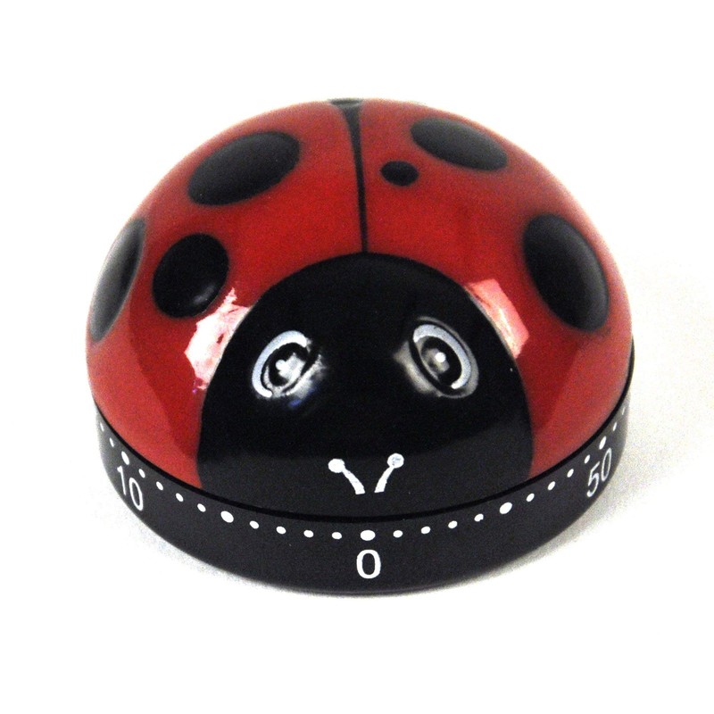 Kitchen Timer - Ladybug design