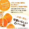 Fukuda Farm Gift Kyushu Whole Squeeze Squeezer, 7.1 fl oz