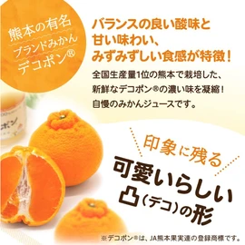 Fukuda Farm Gift Kyushu Whole Squeeze Squeezer, 7.1 fl oz (180 ml) x 12 Bottles, Straight, 100% Juice Set, Additive-Free, Made in Japan