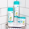 Mirta de Perales Hair Shampoo with Argan, coconut & Moringa