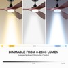 60 Inch Ceiling Fan with Lights, Solid Wood Blades Smart