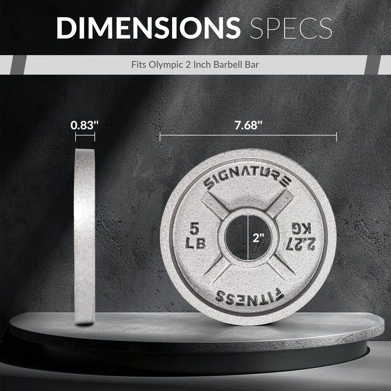 Deep Dish 2-Inch Olympic Cast Iron Weight Plates with E-Coating