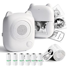 NANSIKE AI Voice Sticker Printer - Mini Portable Thermal Stickerbox Printer