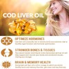 Premium - Cod Liver Oil Capsules - 1000mg x 60