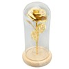Rose in Glass Dome Lucky Beautiful Symbolism Romantic Enchanted Rose