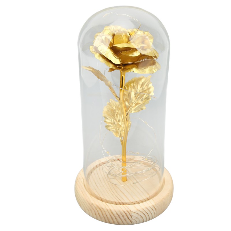 Rose in Glass Dome Lucky Beautiful Symbolism Romantic Enchanted Rose