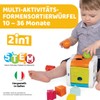 CHICCO 2-in-1 Sorting & Beating Cubes