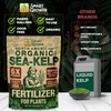 Organic Sea Kelp Fertilizer for Plants – Water-Soluble – Makes