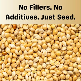 Olympus Myco White Proso Millet Seed, All-Natural Non-GMO Premium Wild Bird Food for Finches, Doves, Songbirds, Buntings & More (10 lb)