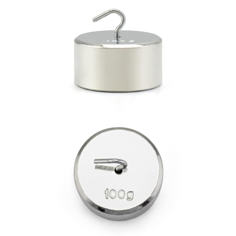 QWORK Double Hook Physics Weights Set, 10pcs 100g Metal Weights