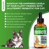 Probiotics for Cats for Digestive Support – Cat Probiotics for