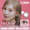 LILMOON (リルムーン) シリーコーン ワンデー 10枚入り サンドグレー (度あり) [-3.50]