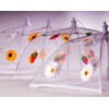 Epicurean Europe 30 x 30 cm Polyester with Zinc Plated