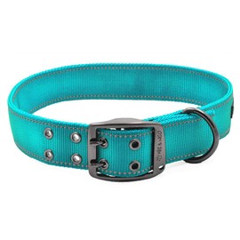 Max and Neo MAX Reflective Metal Buckle Dog Collar - We Donate a Collar to a Dog Rescue for Every Collar Sold (X-Large, Teal)