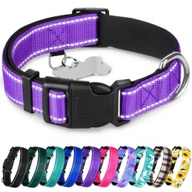 TECEUM Reflective Pet Collar – Purple – S – Extra Soft Padding – Basic Nylon Dog Collar – Quick Release Buckle – Fits Small, Medium and Large Dogs, Puppies, Cats – ESA & Service Dog Options