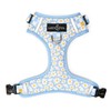 Lucy & Co. The Simply Splendid No-Pull Dog Harness -