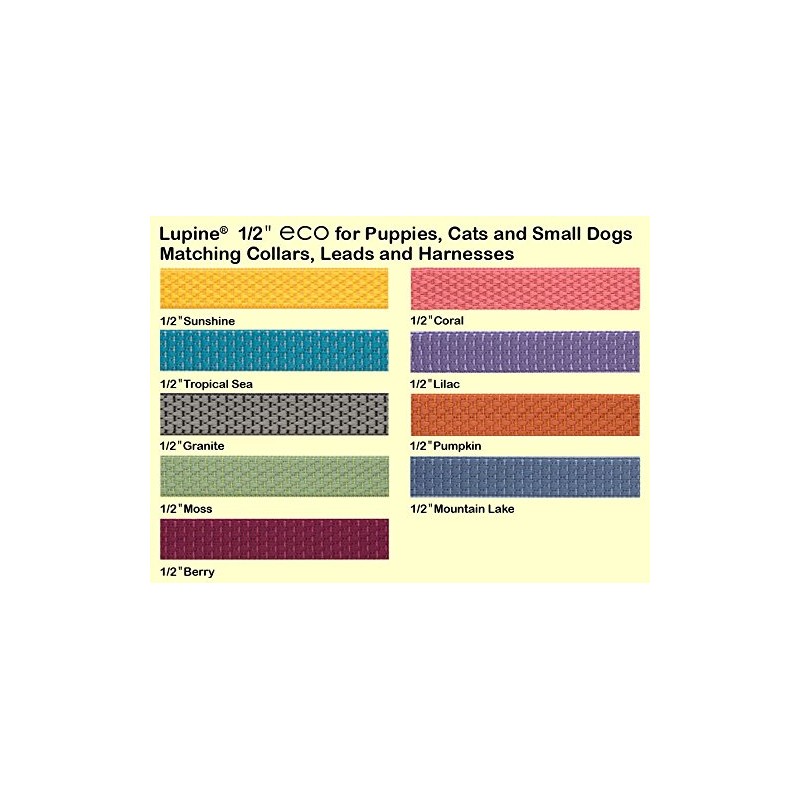 LupinePet Eco 1/2" Mountain Lake 10-16" Adjustable Collar for Small