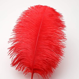 Ballinger Red Ostrich Feathers Bulk - 24Pcs 8-10inch Feathers for Crafts,Party Centerpieces,Wedding and Home Decor
