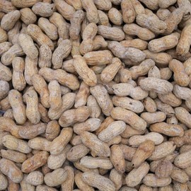 Barcelona Nut Inshell Peanuts Salted & Roasted - 10 Pounds - Deliciously Old Fashioned - USA Grown - Gluten Free - In Shell For Humans - Peanuts In The Shell