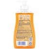 Dial Complete Antibacterial Liquid Hand Soap, Gold, 11 fl oz