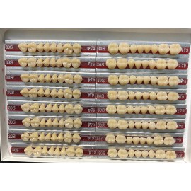 Dentsply New Hue Dentist-Dental Lab-Denture Teeth Porcelain 30S   UL   79/A3.5