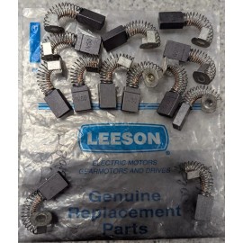 Leeson M1900010.14 Brush And Spring