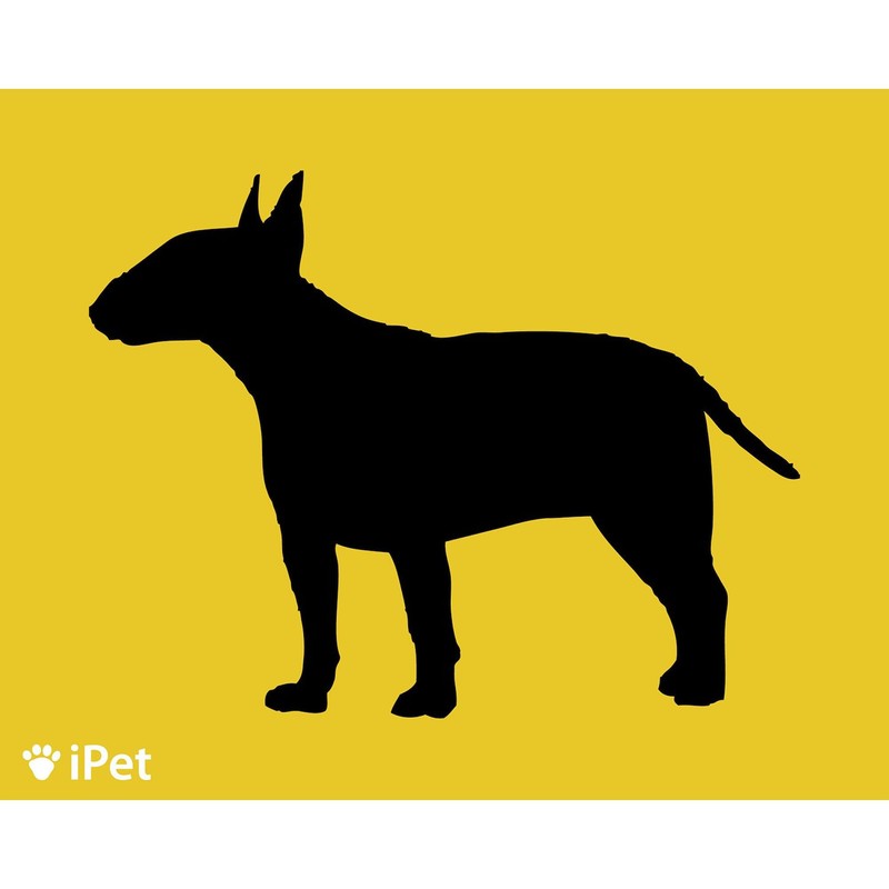 CafePress Terrier Ipet Rectangle Magnet, 3"x2" Refrigerator Magnet