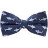 Carahere Mens Bow Ties Handmade Pre-Tied Novel Fun Pattern Bow