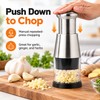 Stainless Steel Manual Garlic Chopper – Push-Down Mini Food Mincer