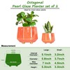YQSLYSF 6 Inch + 4 Inch Ceramic Planter for Indoor