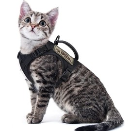 augopapa Tactical Cat Harness for Walking,Soft Mesh Adjustable Escape Proof Pet Vest for Large Cat,Puppy