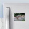 CafePress Laying Squirrel Rectangle Magnet, 3"x2" Refrigerator Magnet