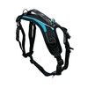 FitPAWS Made to Move No-Pull Harness | Adjustable Fit |
