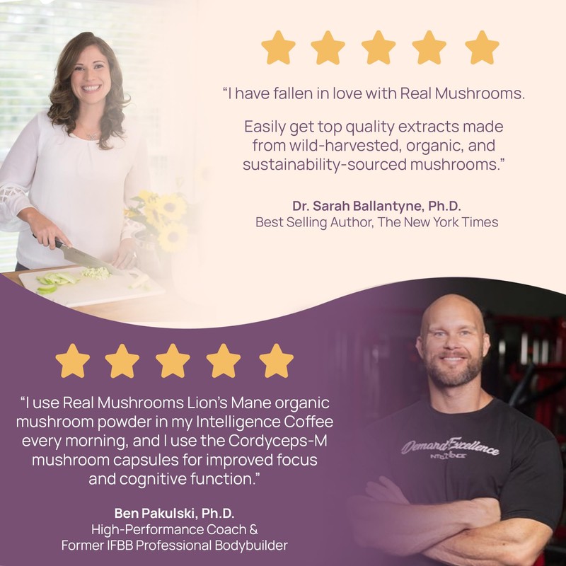 Real Mushrooms Chaga Mushroom Capsules – Organic Chaga Extract Powder